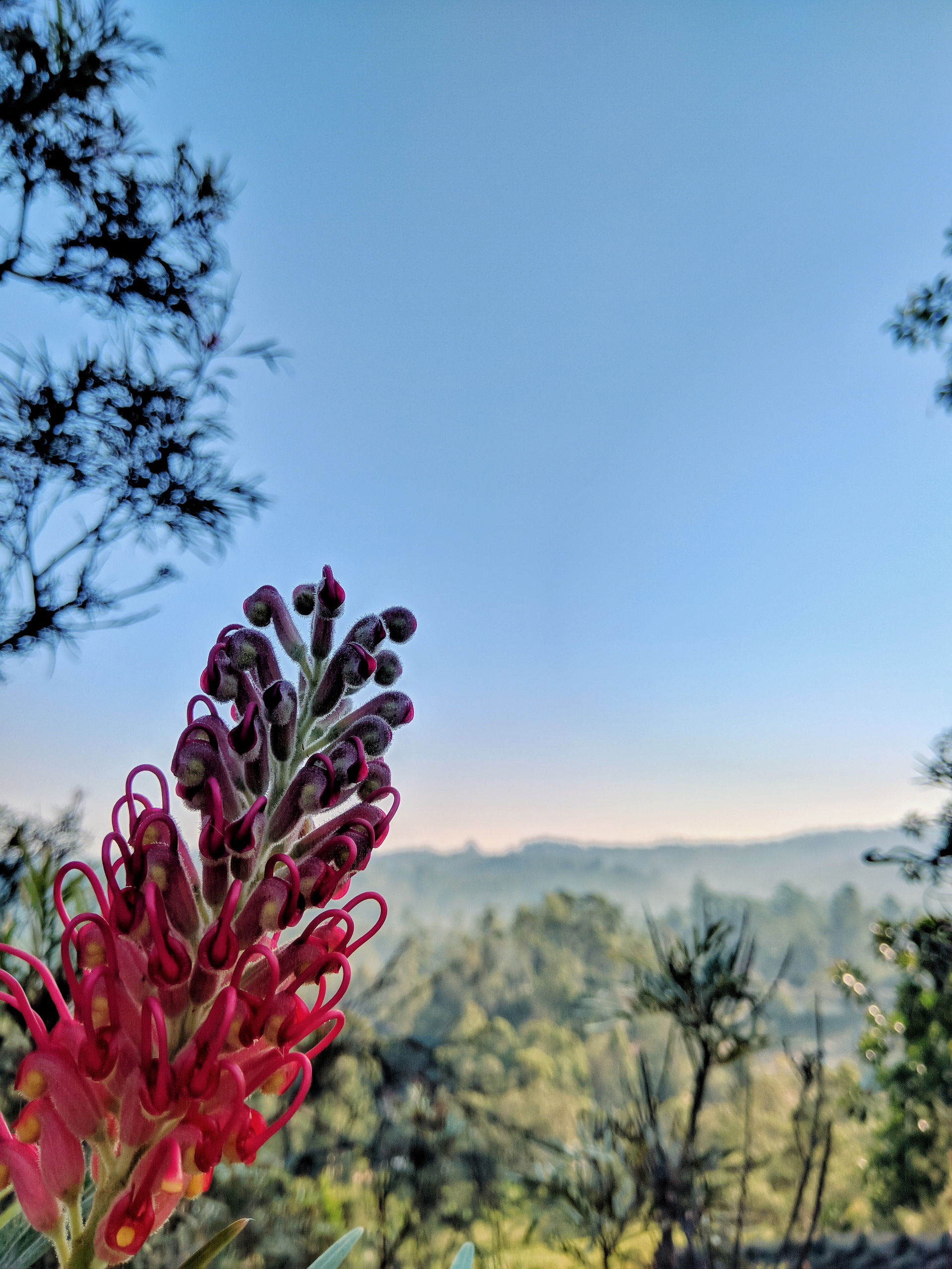 A view captured from Bandarawela, Sri Lanka