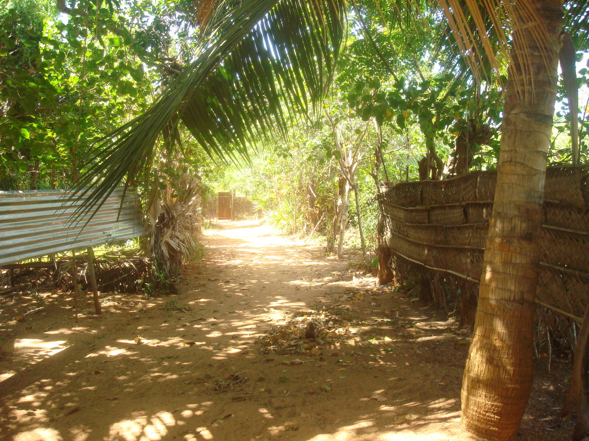 Pathway