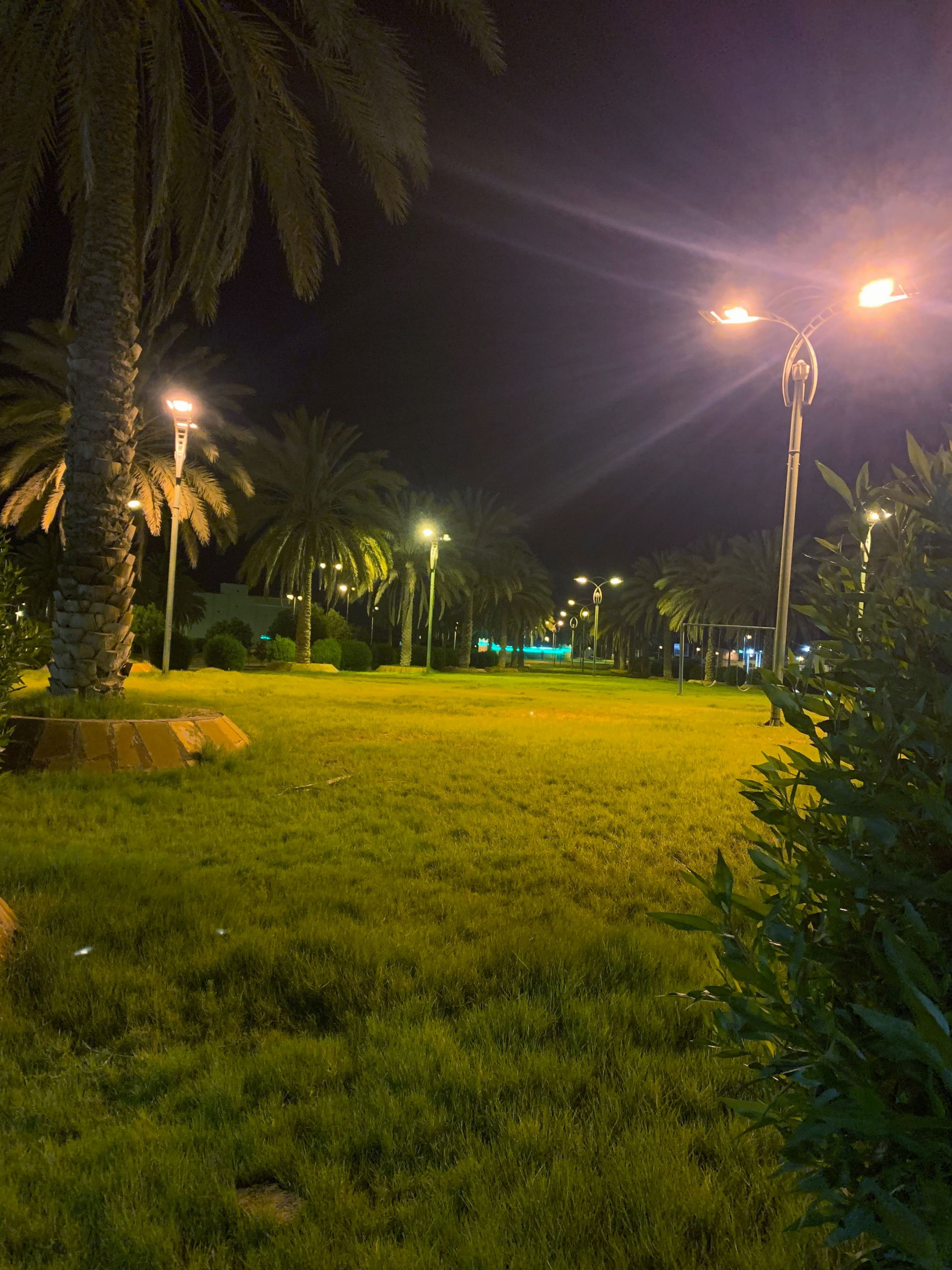 المنتزه المجاور للممشى بمدينة السليل في السعودية