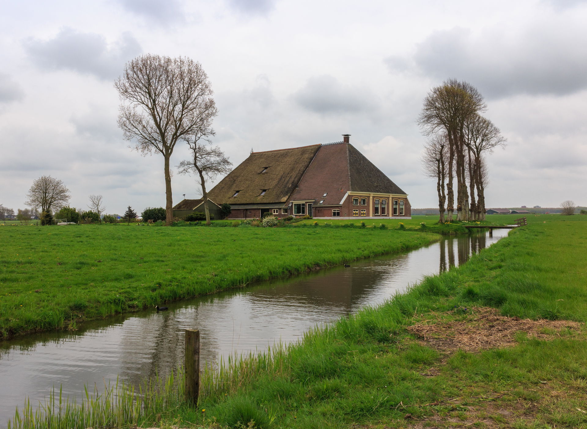 Characteristic farm, Aldlansdyk in Cornjum.
