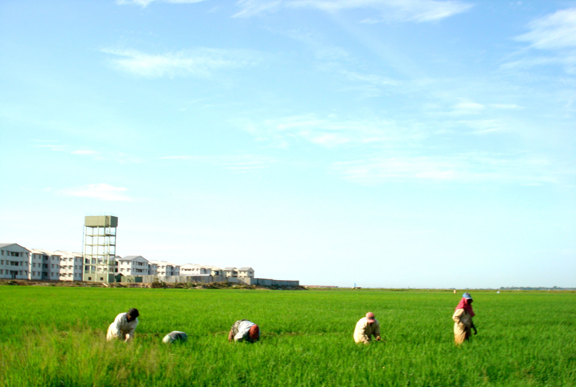 The west and the green side of Kalmunai