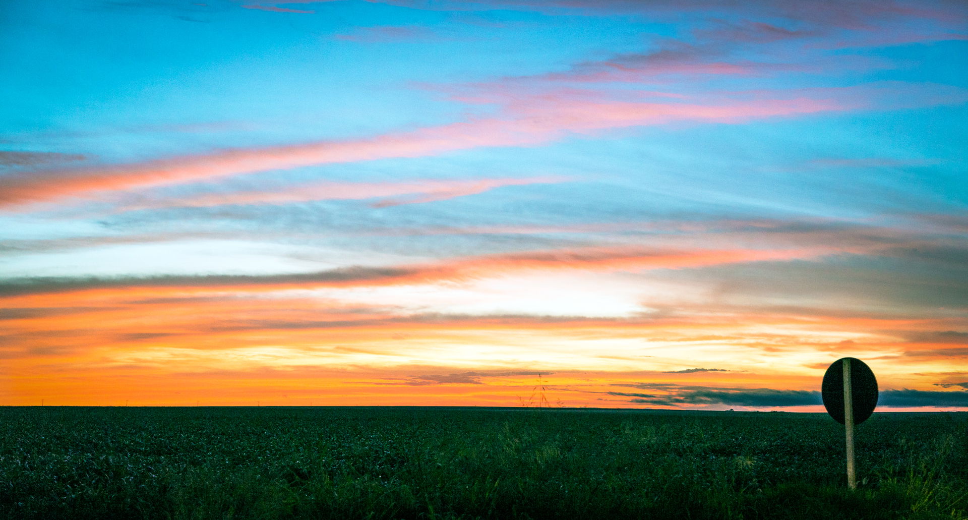 A common sight on the beautiful roads in the state of Mato Gros…