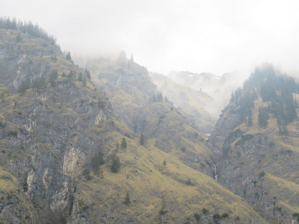 Oytal