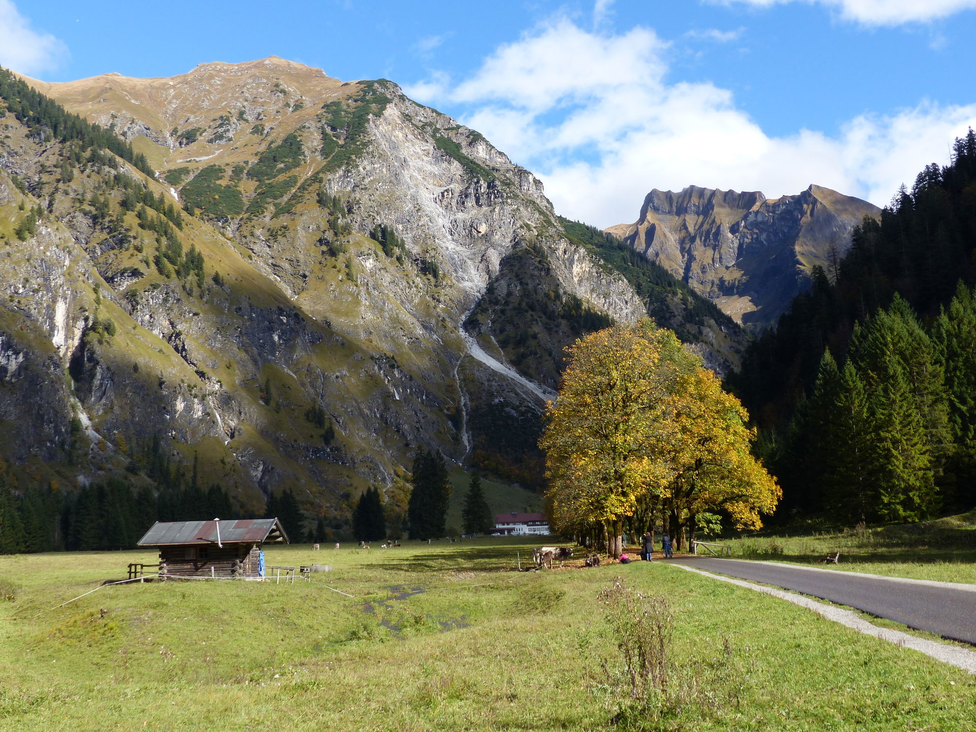 Oytal mit Bergahornallee und Oytalhaus