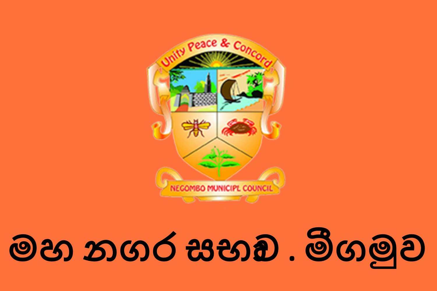 Flag of Negombo Municipal Council, Sri Lanka