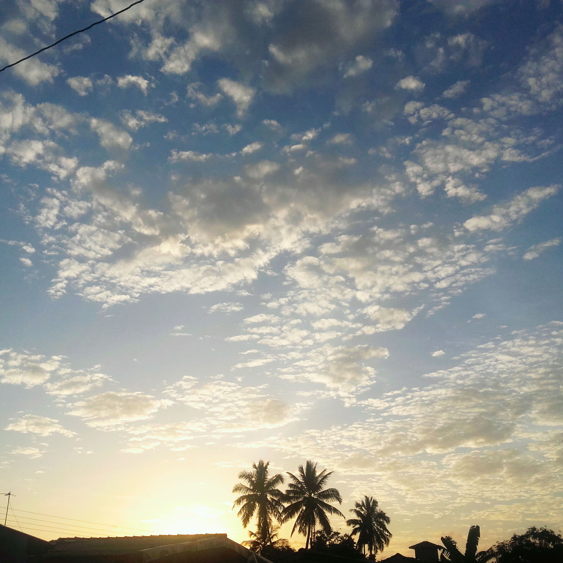 Morning shine on earth