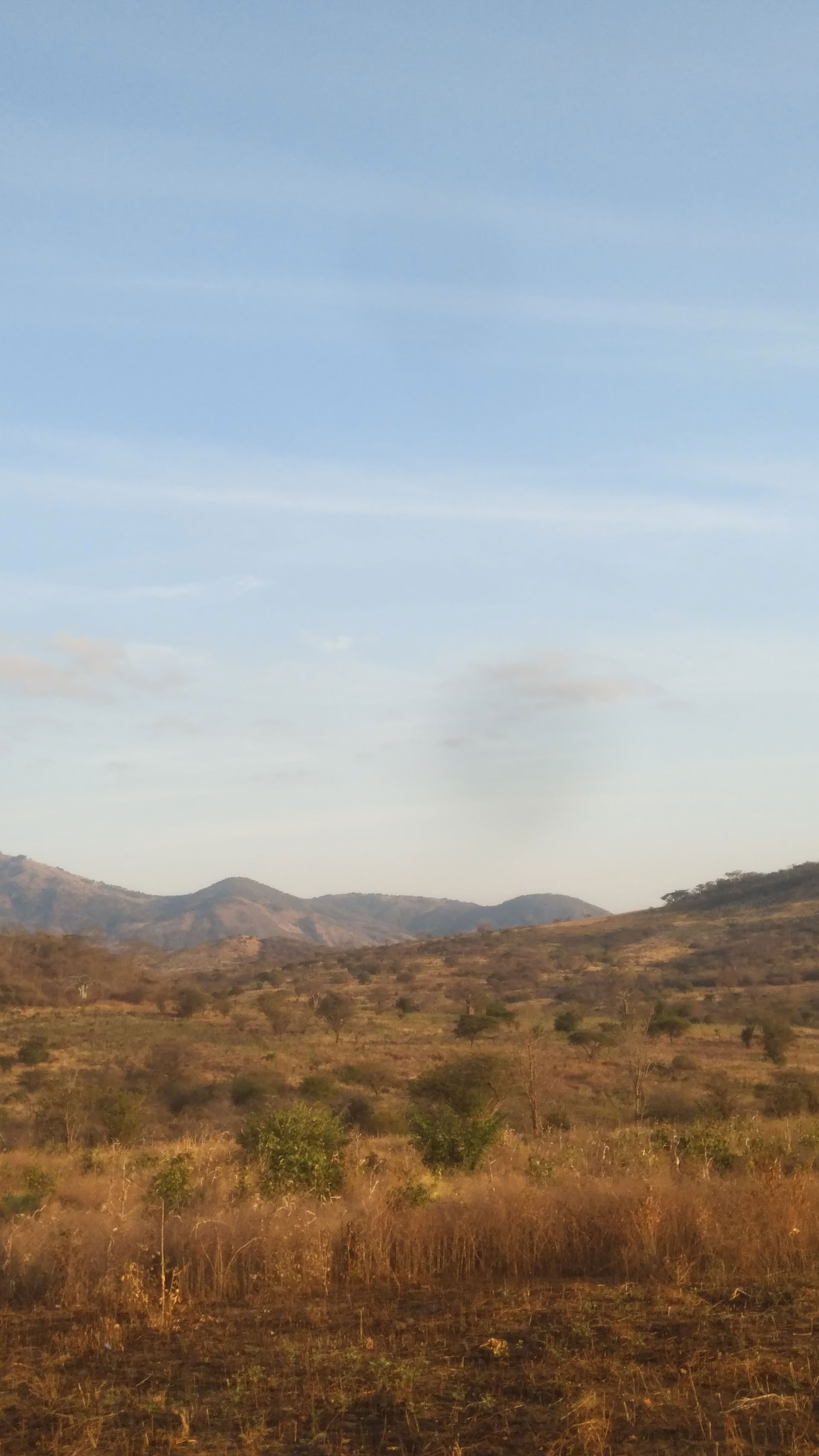 The photo above shows the upperlands in Mpwapwa district