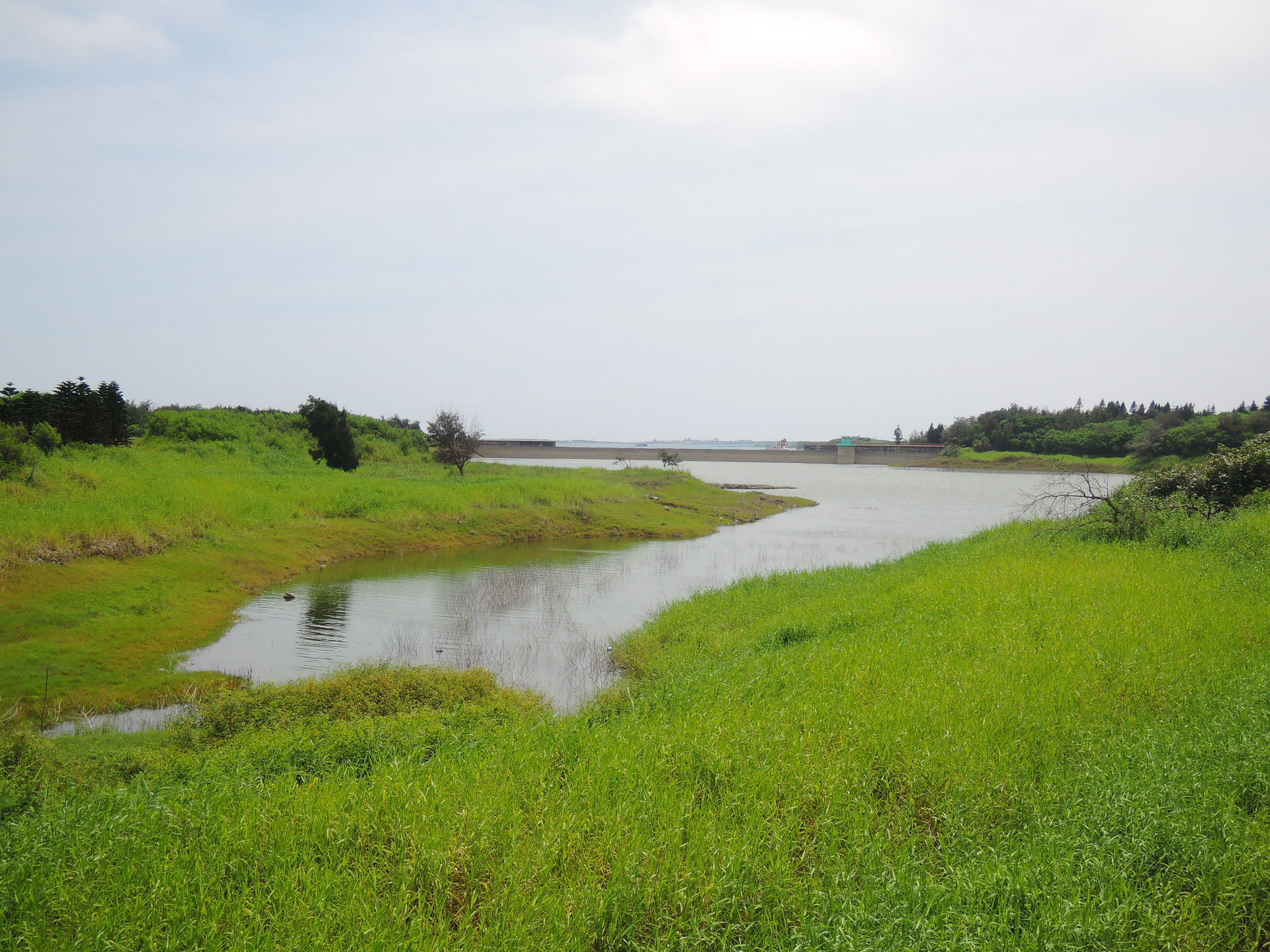 水庫鄰近縣道201景