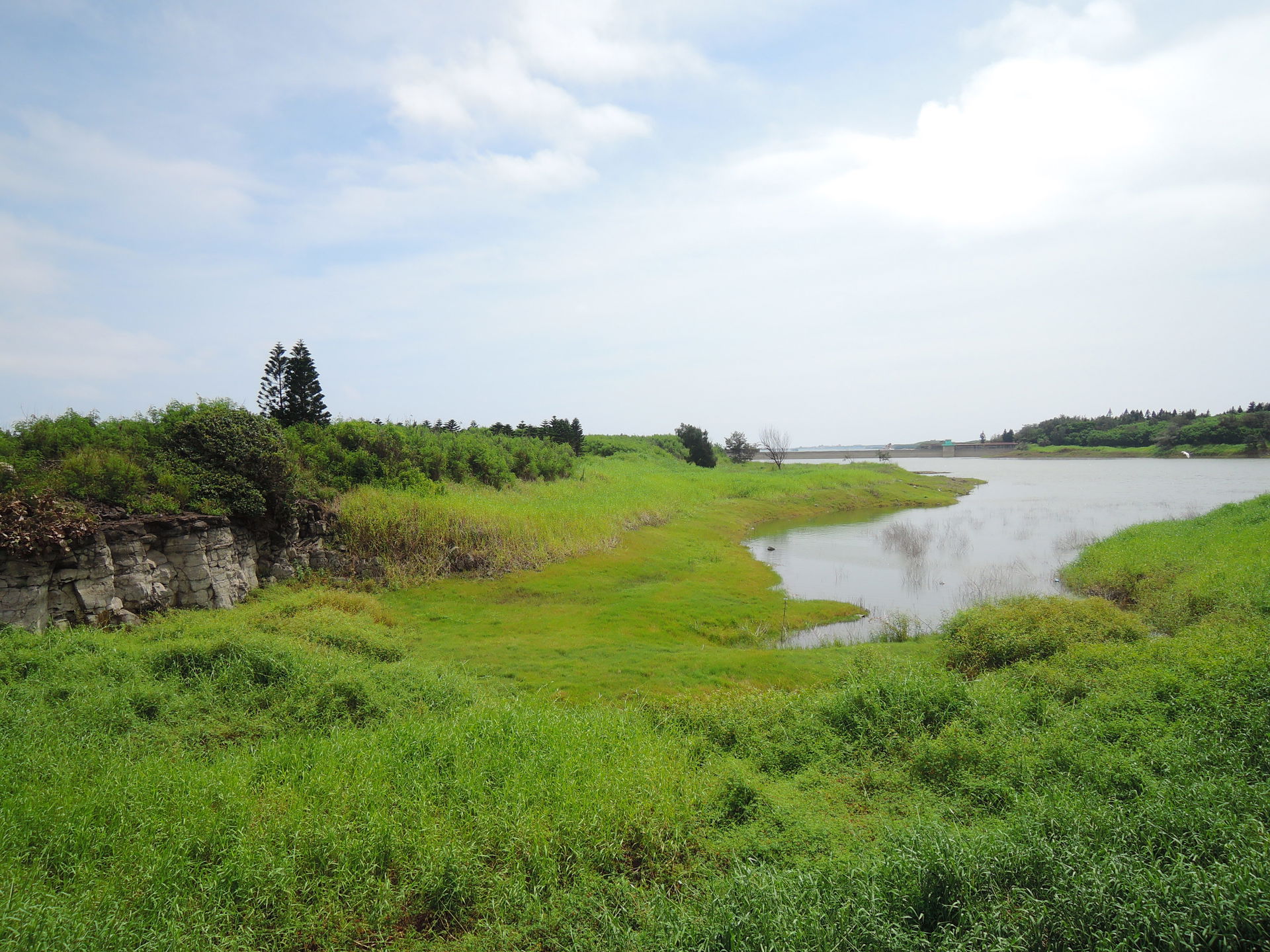 水庫鄰近縣道201景