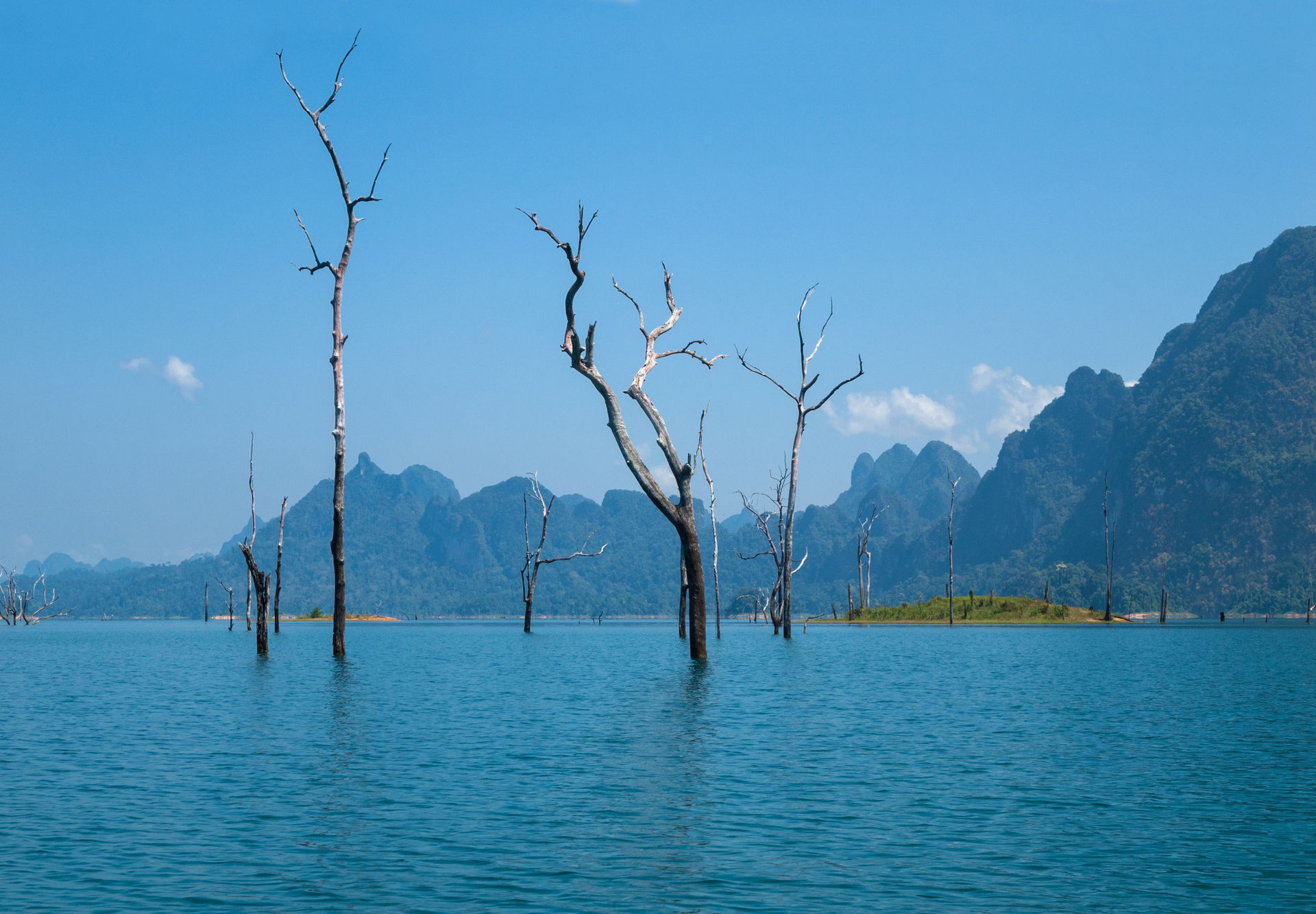 Old submerged trees on Cheow Lan Reservoir Lake in Surat Thani,…