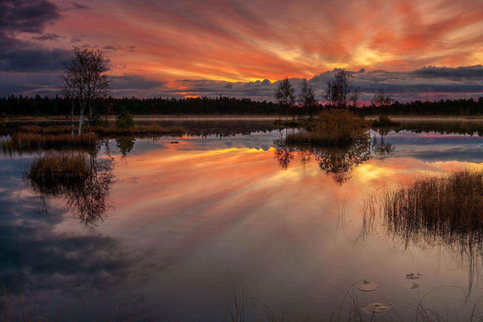 Lake Laanemaa at Orkjärve Nature Reserve, Estonia. Sunrise. Int…