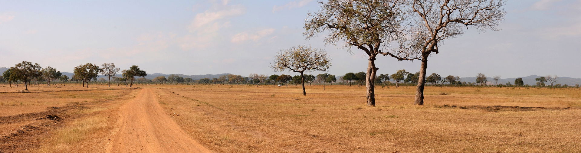A panorama of the Mikumi National Park