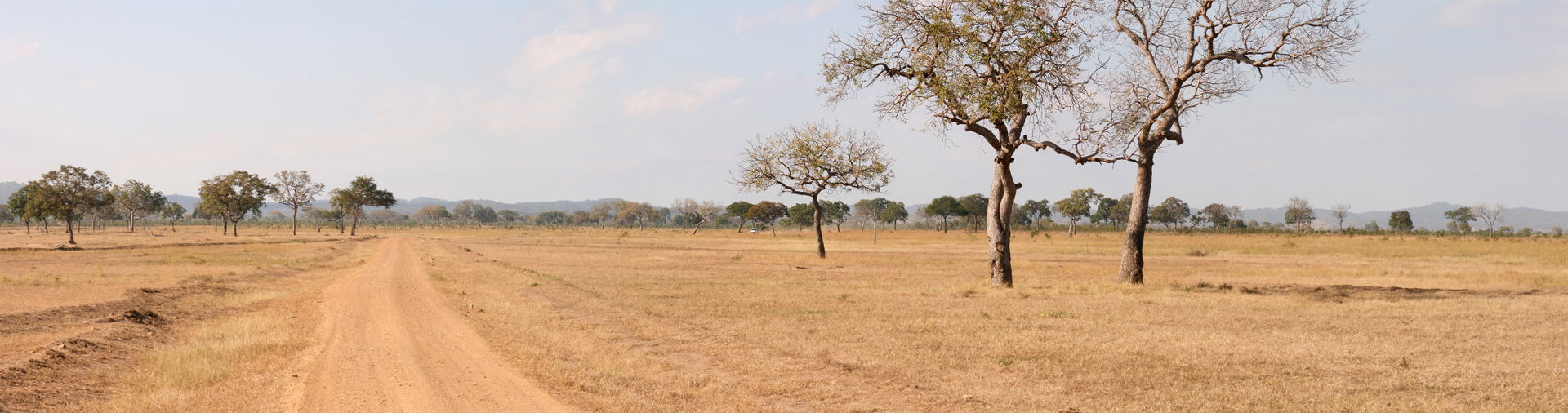 A panorama of the Mikumi National Park in Tanzania