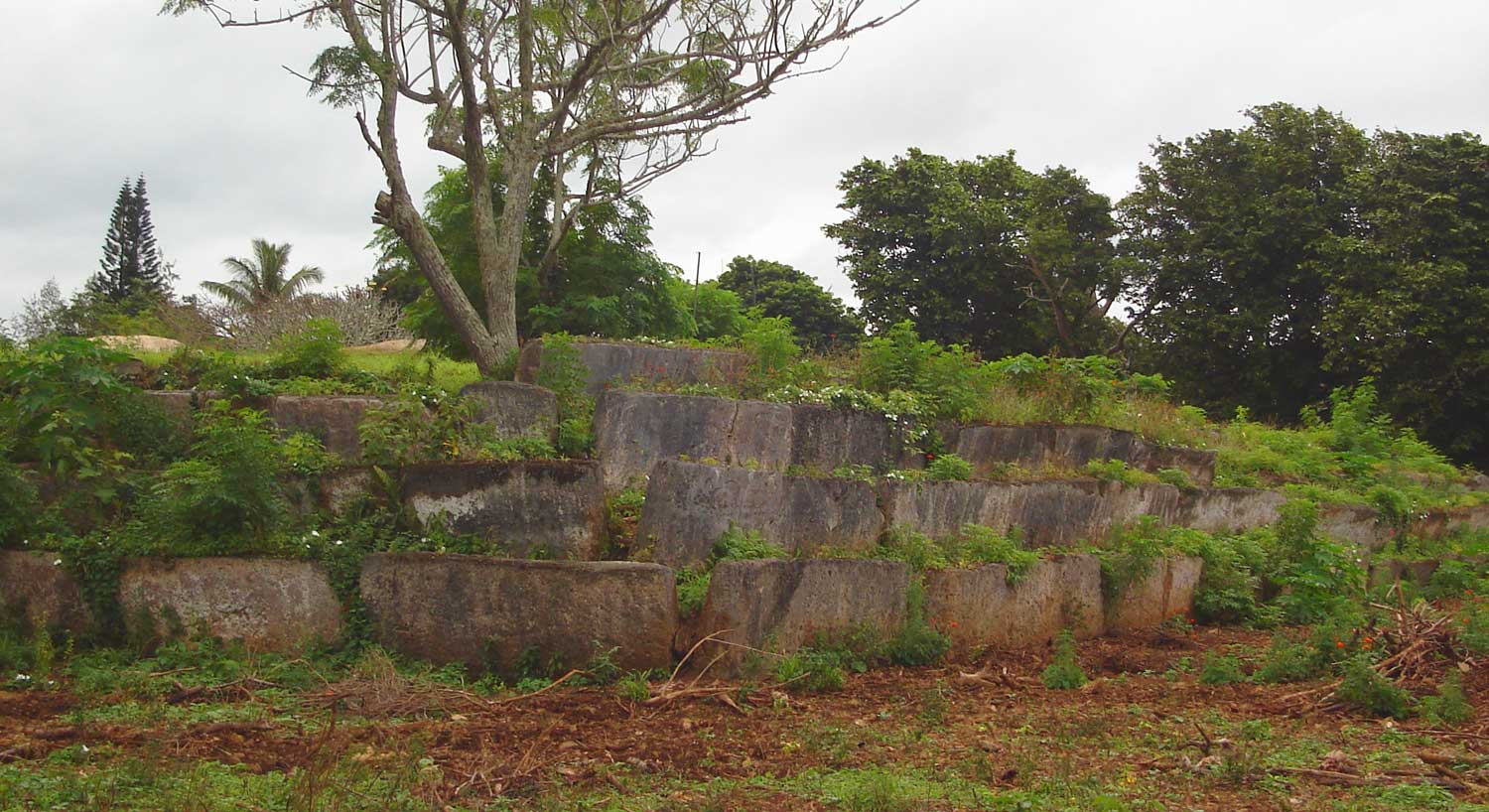 Langi Tauʻatonga; ancient royal burial mound in Lapaha, Tonga