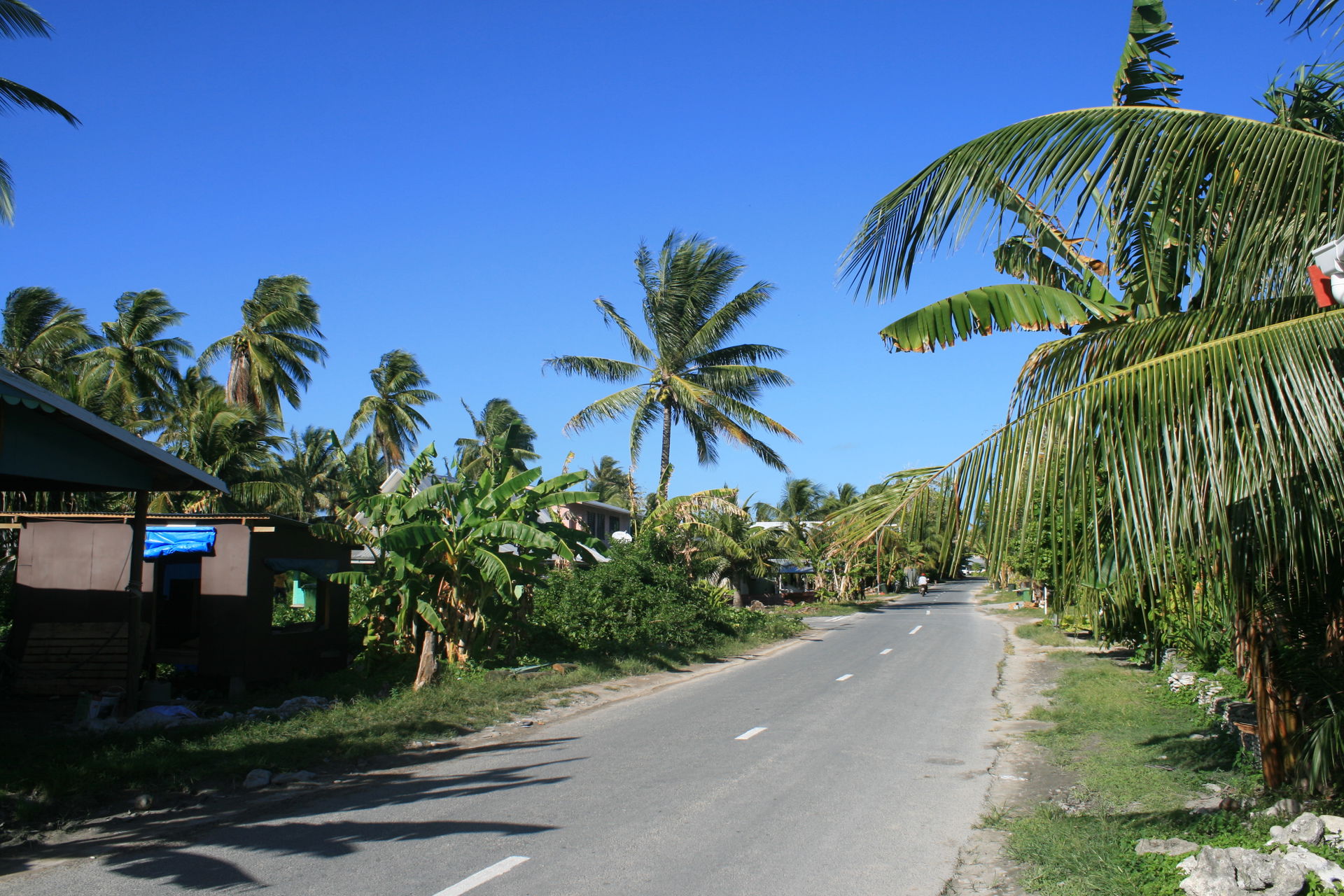 On main road, Funafuti looking south.