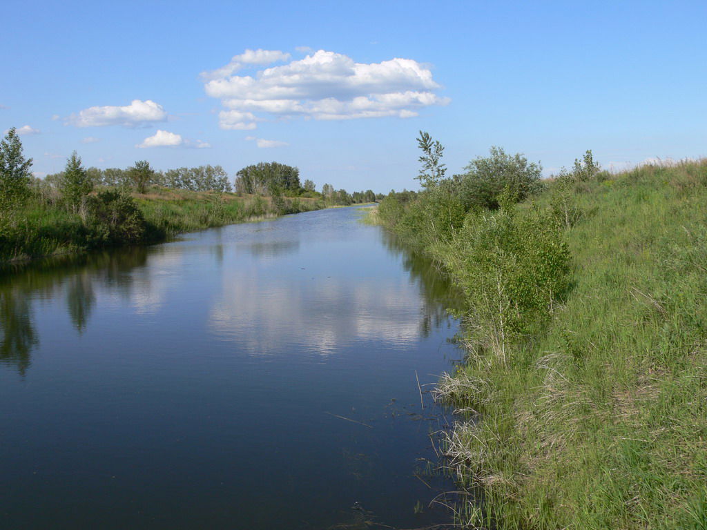 Kulunda irrigative canal, near Glyaden village — Altai Krai.
I…