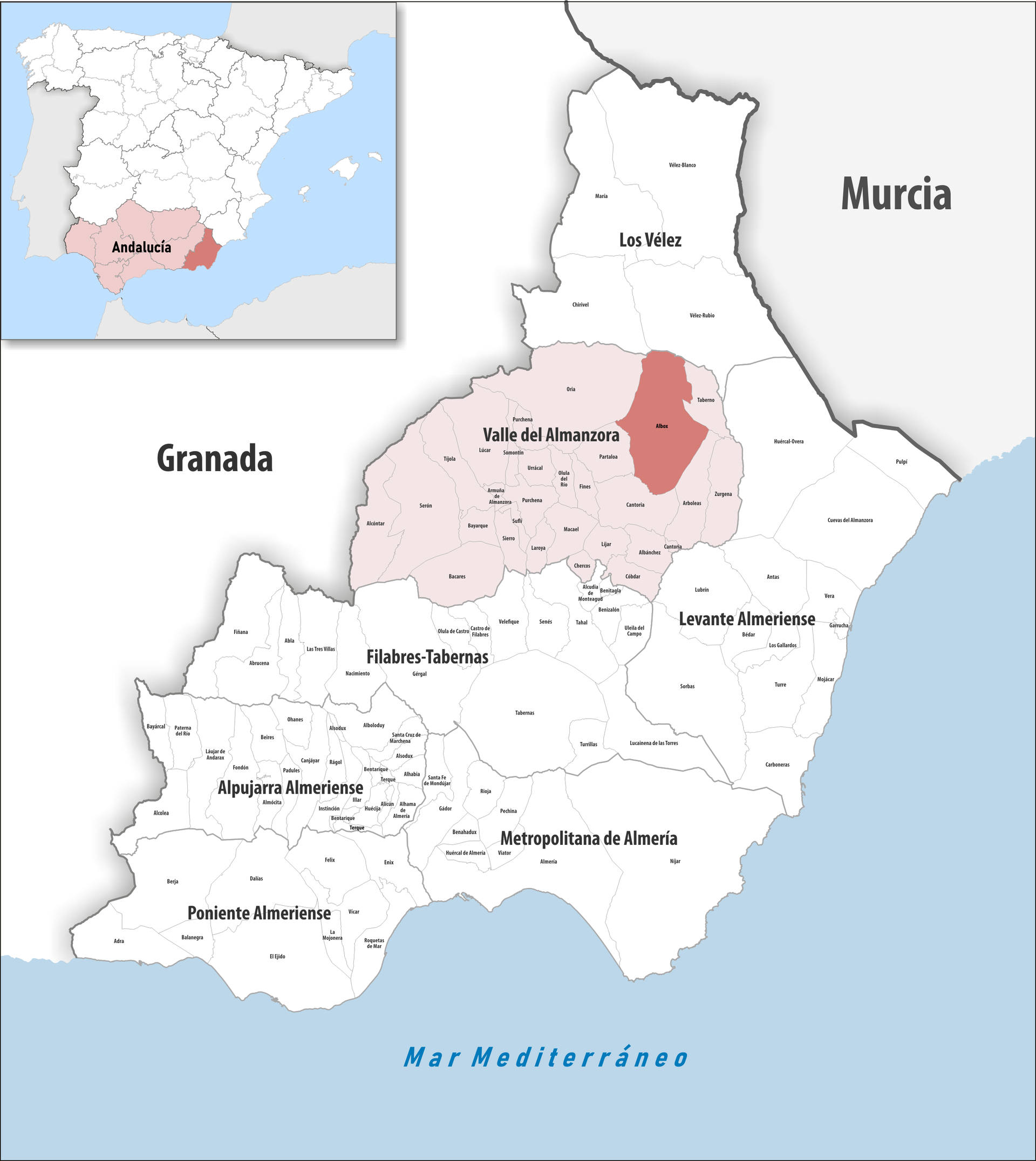 Municipio de Albox