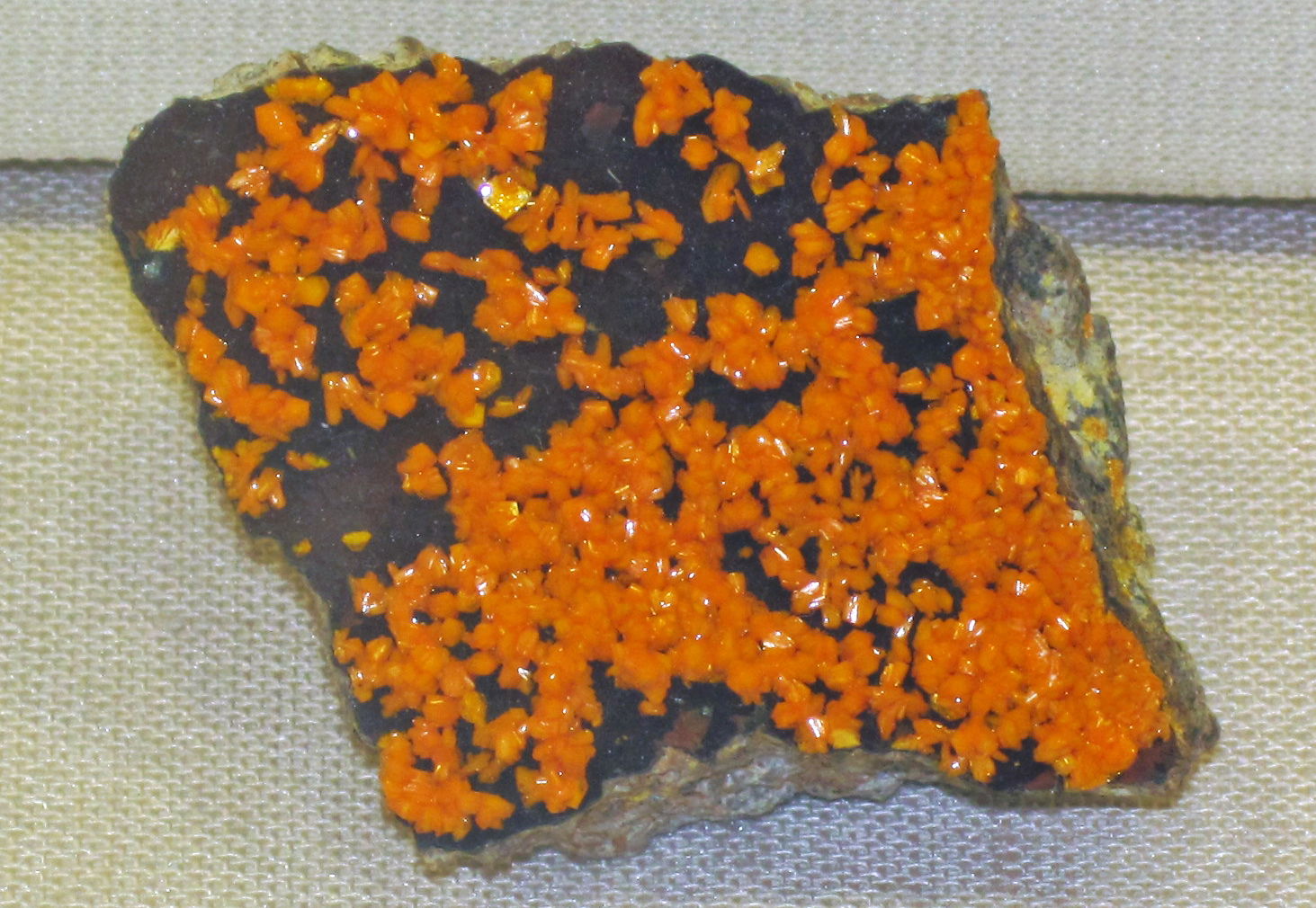 Francevillite on mounanaite from Gabon, Africa. (Robert Lauf co…