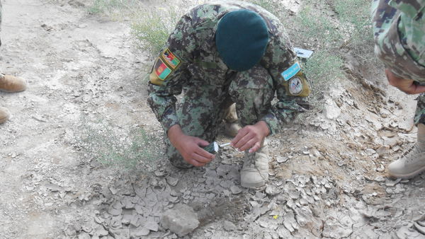 Zarghūn Shahr