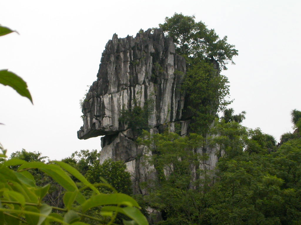 Nature in Hoa Binh, August 2003