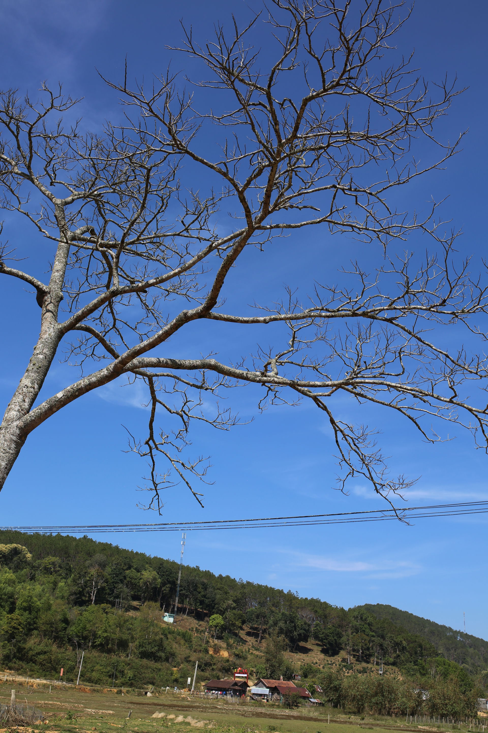 Life in Kon Pring village, Mang Den town, Kon Tum province