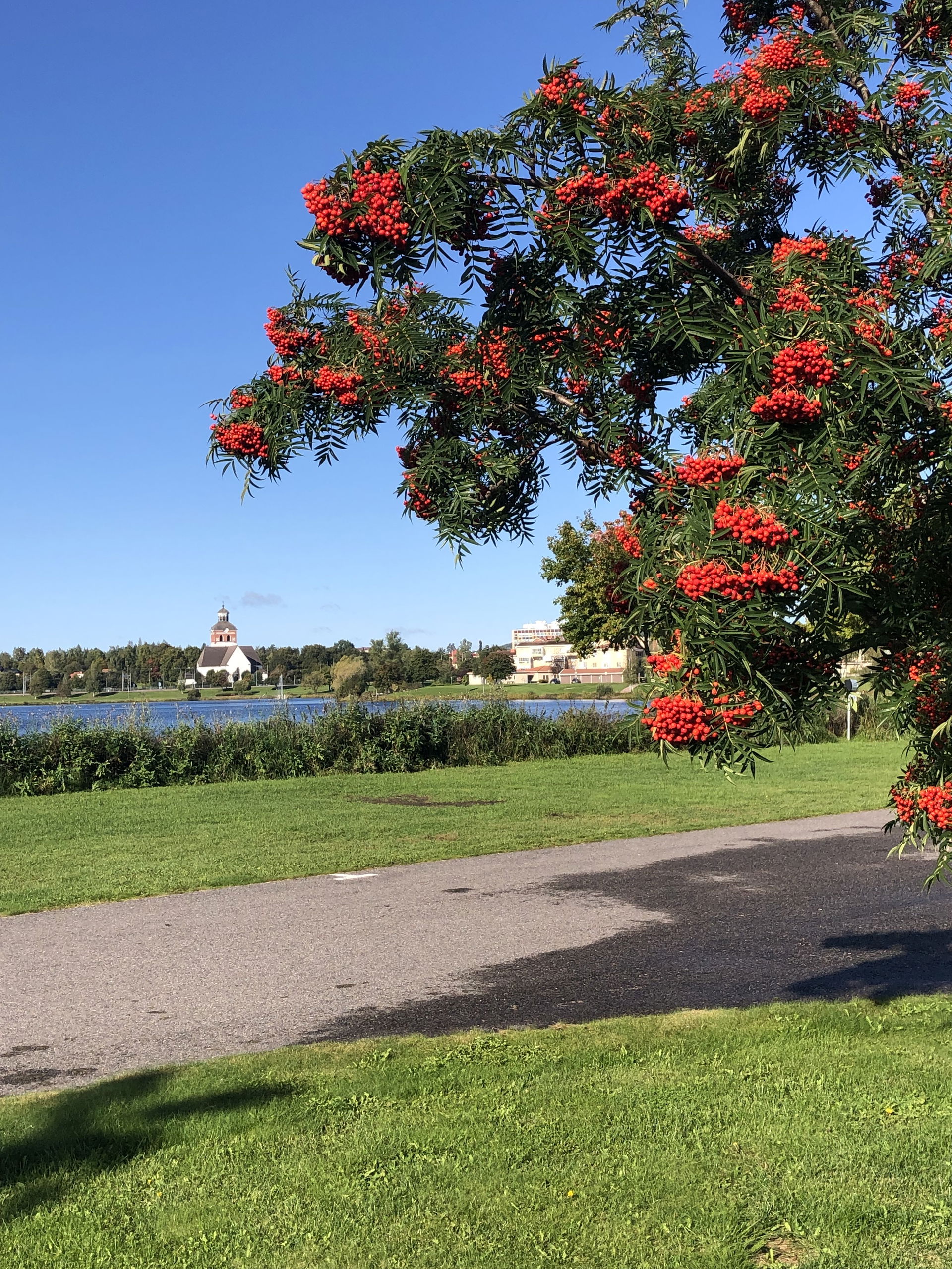 Bollnäs kyrka och stadshus vy från Bollnäs camping över Vågen. …