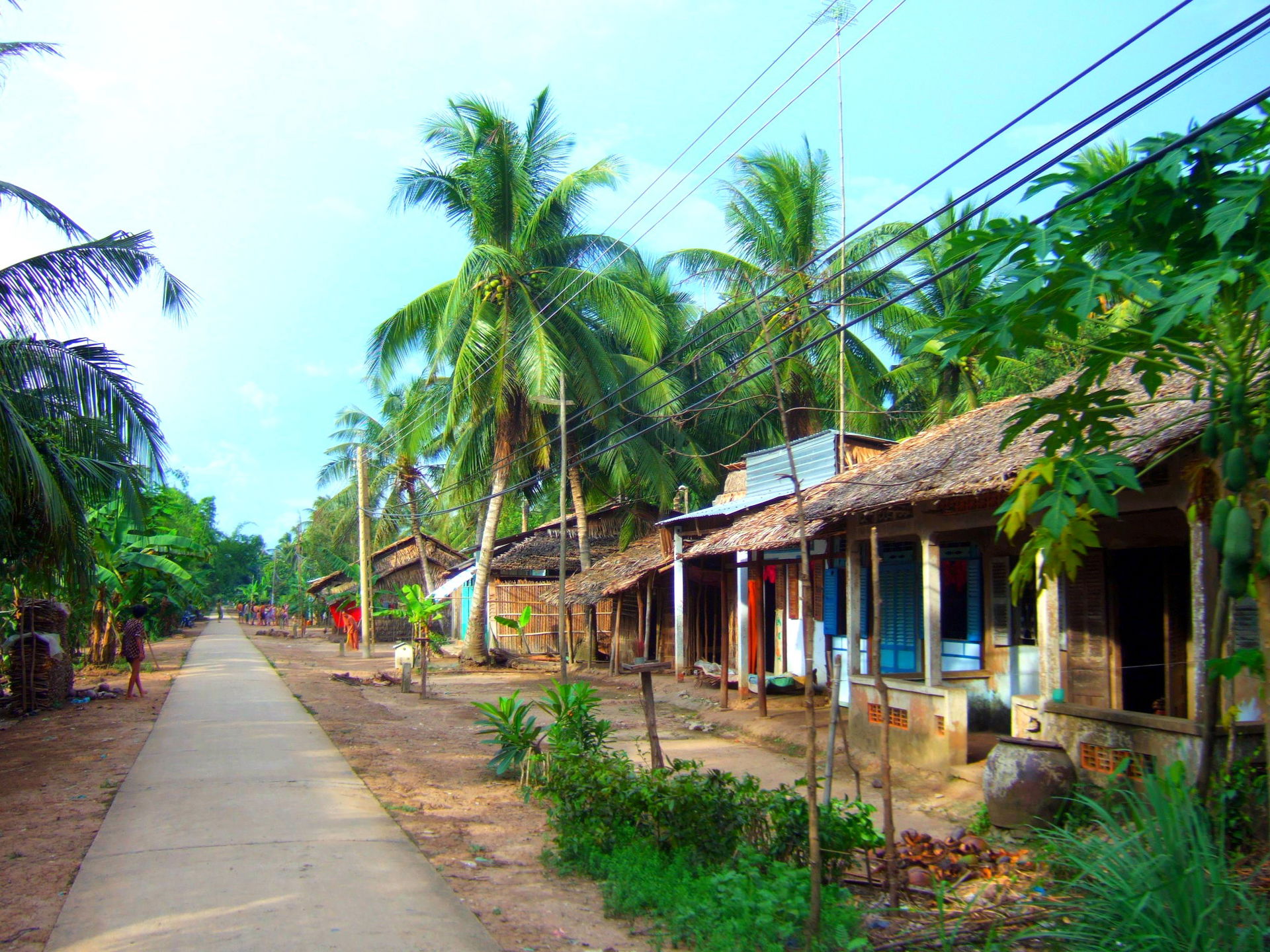 rural area in the Mekong Delta, Soc Trang province, Vietnam