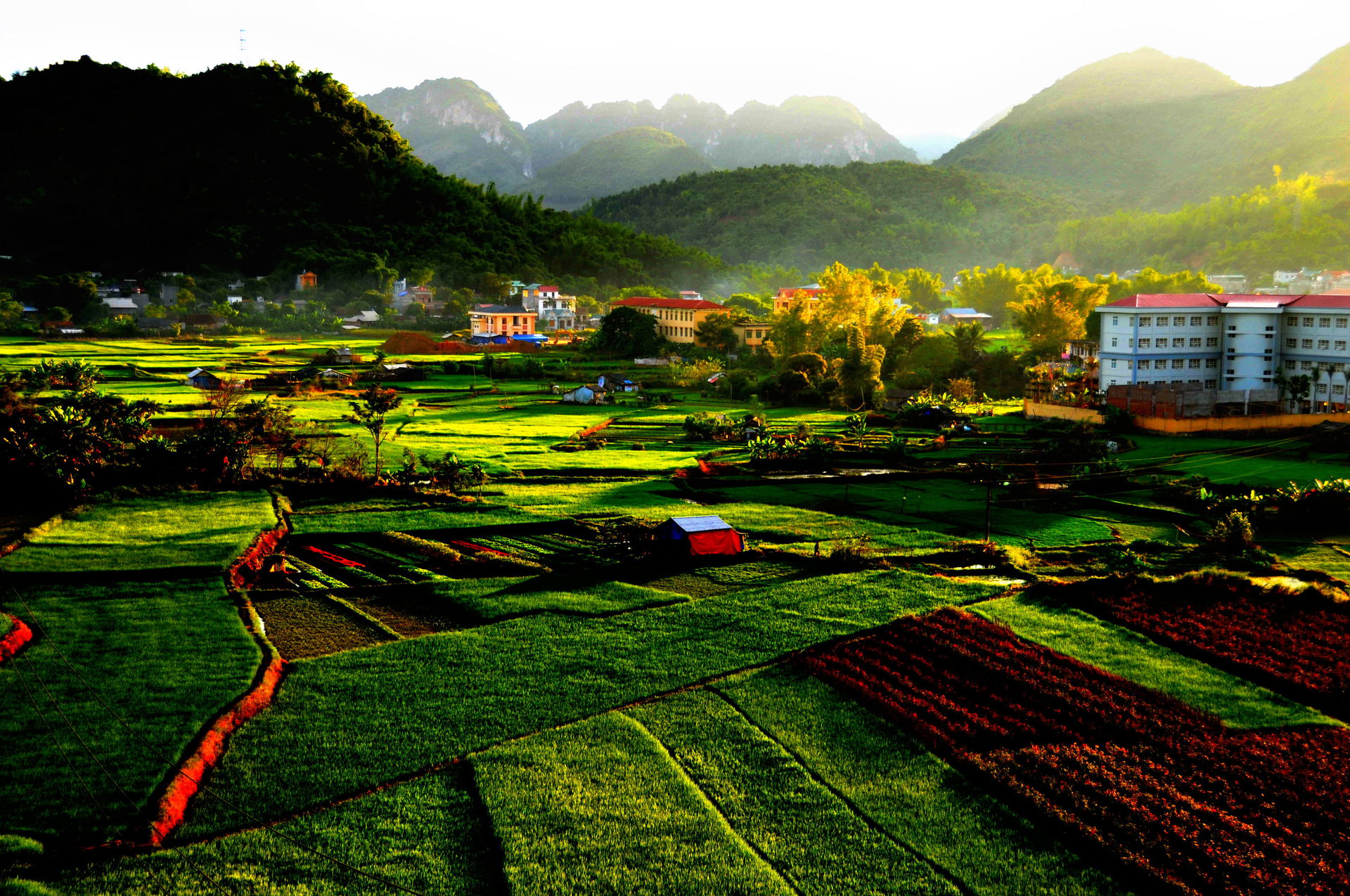 Chiều về Sơn La
