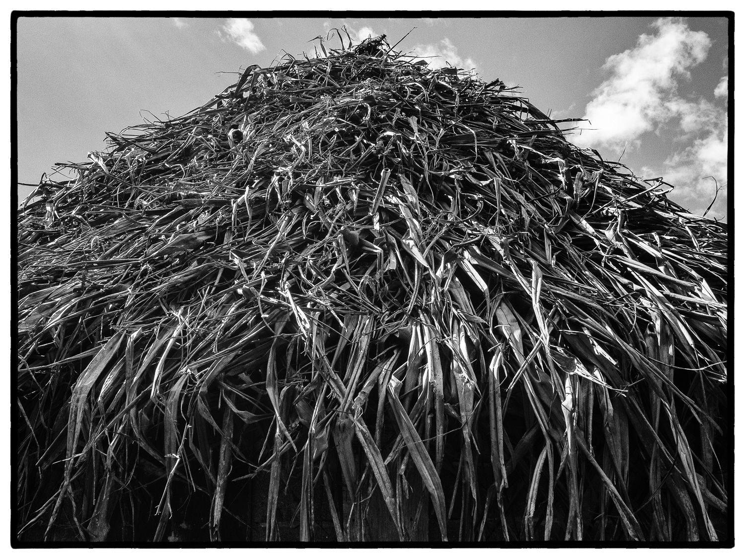 Couverture de feuilles de pandanus d'un fale familial à Vaisei,…