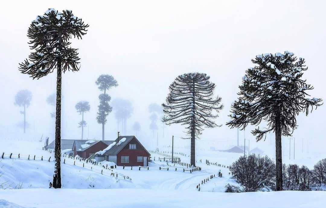 Lonquimay in winter