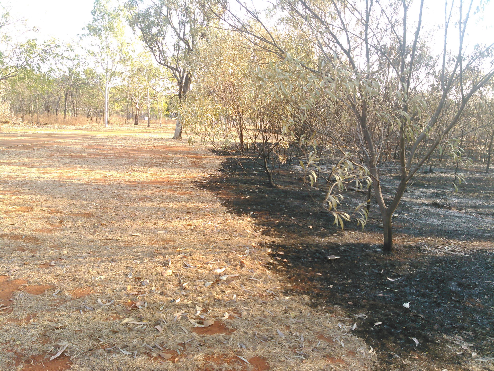 Bush Fire in Katherine, Northern Territory, Australia