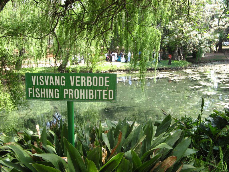 The pond at the Eye in Kuruman, Northern Cape, South Africa