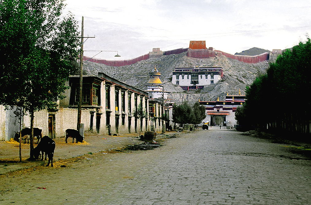 A street with cattle; in the background, The Kumbum. Gyantse, S…