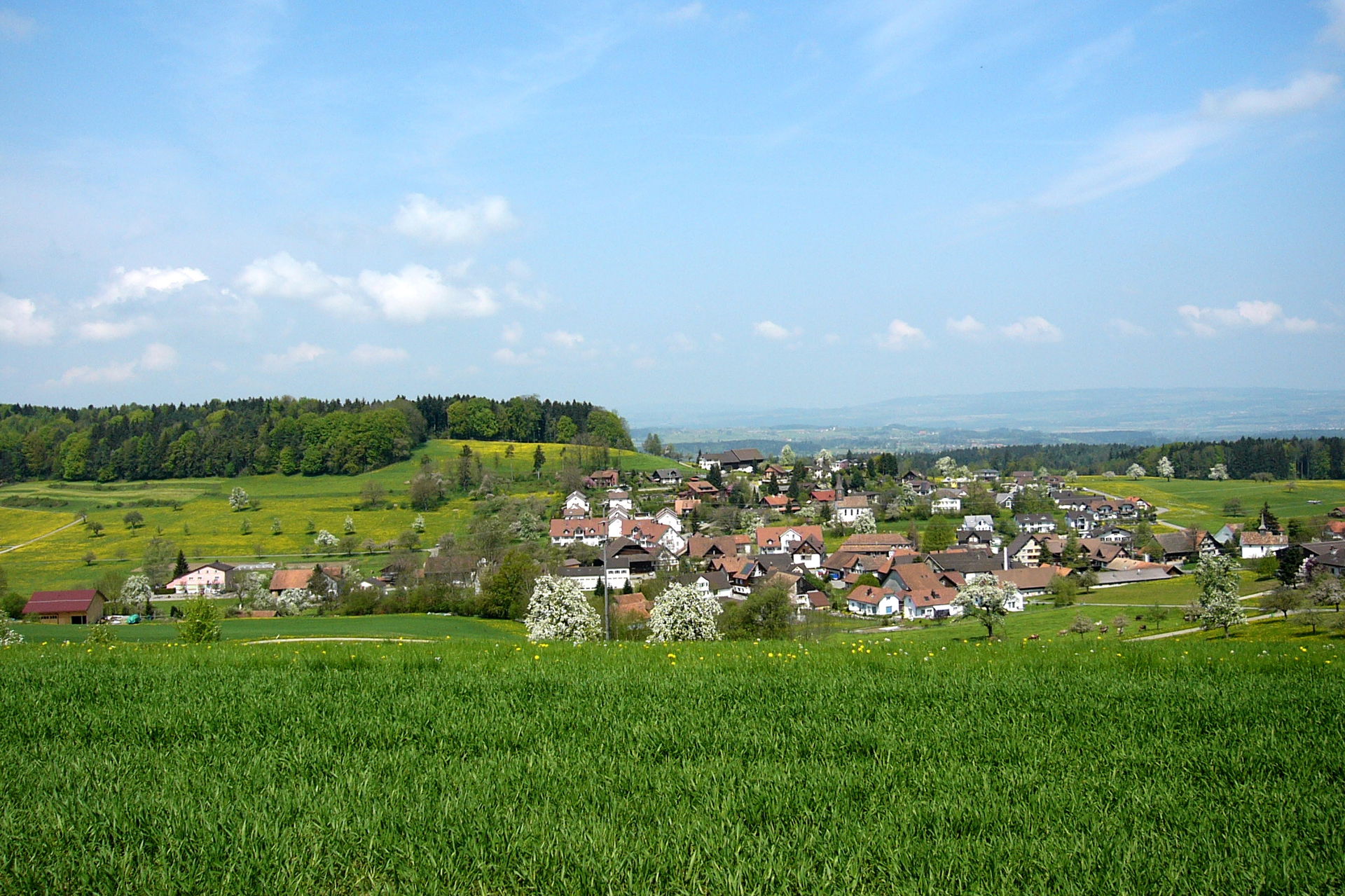 Picture shows the village of Braunau, canton of Thurgau, Switze…