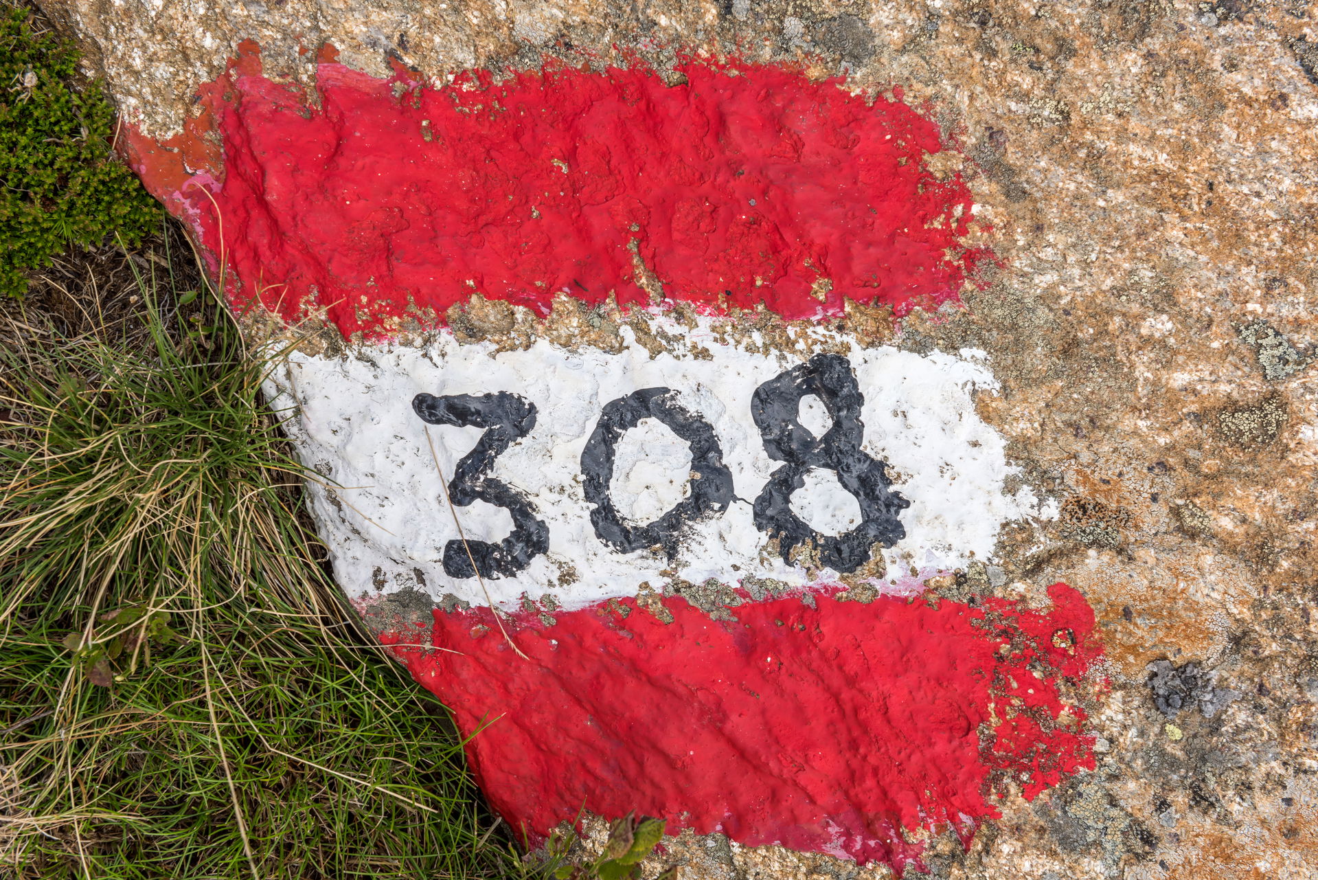 Mark of the footpath trail #308 close to the Wolfsberg Alpine h…