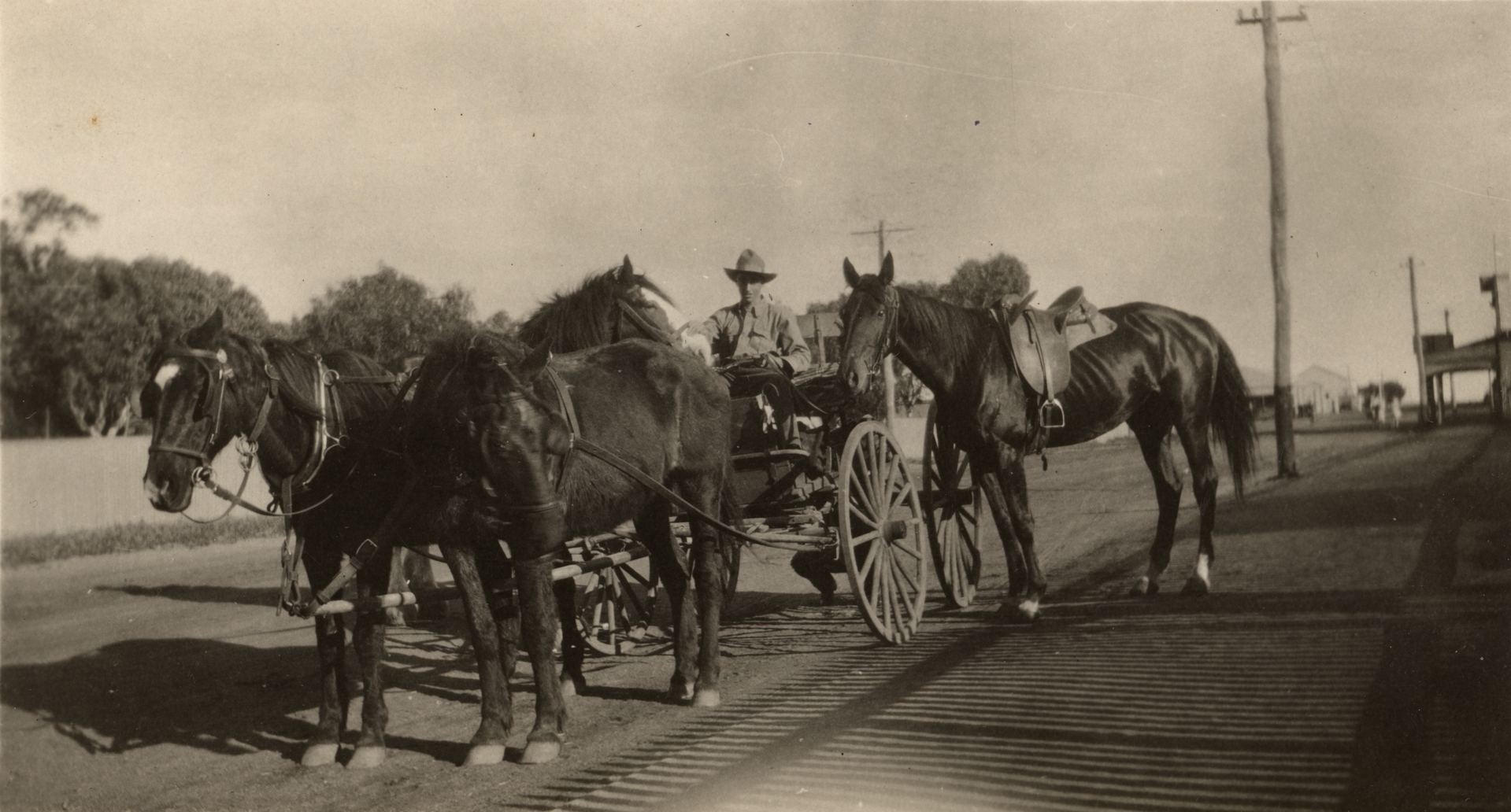 H. Aubrey Hall's horses and cart (it's probably not him in the …