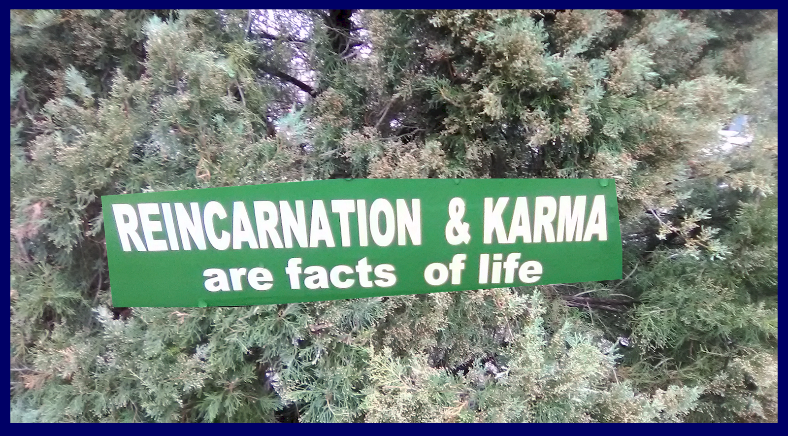 Reincarnation and karma are facts of life... as we sow, so shal…