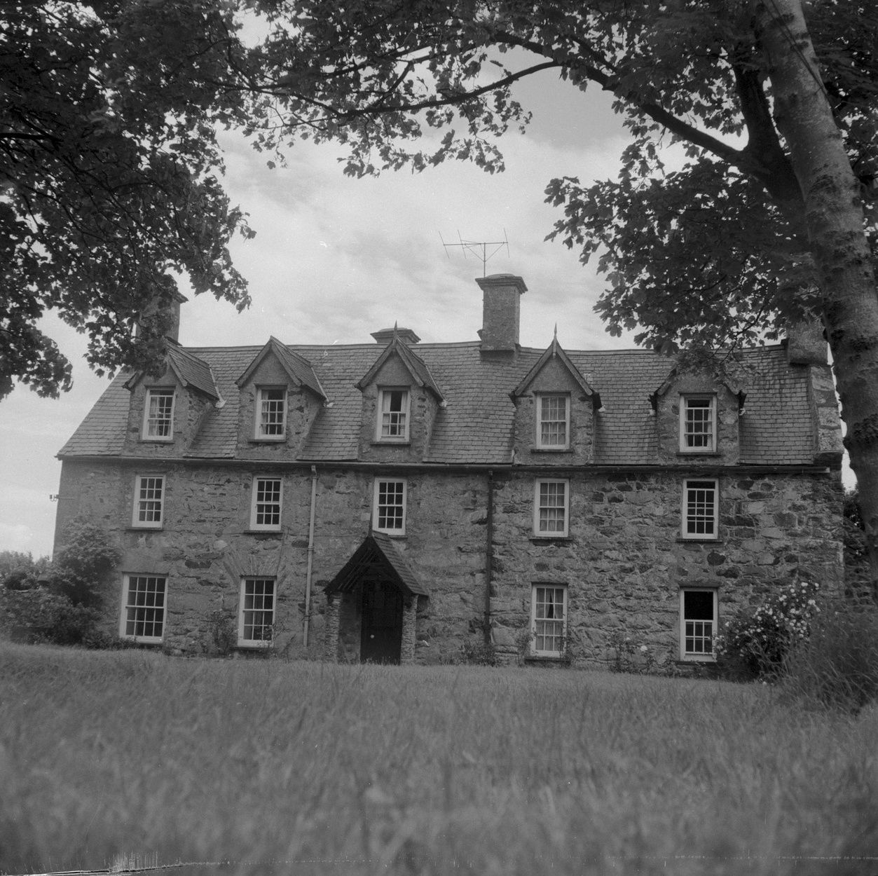 The Hendre Hall family reclaims land on the hillsides in Llwyng…