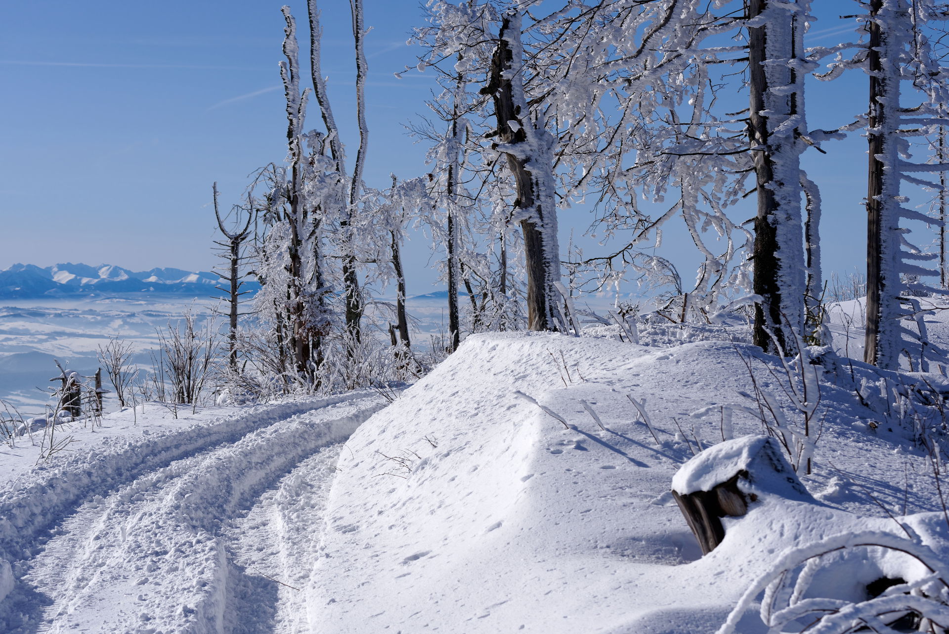 Lubań in Gorce mountains, a trail from Krościenko to Lubań
