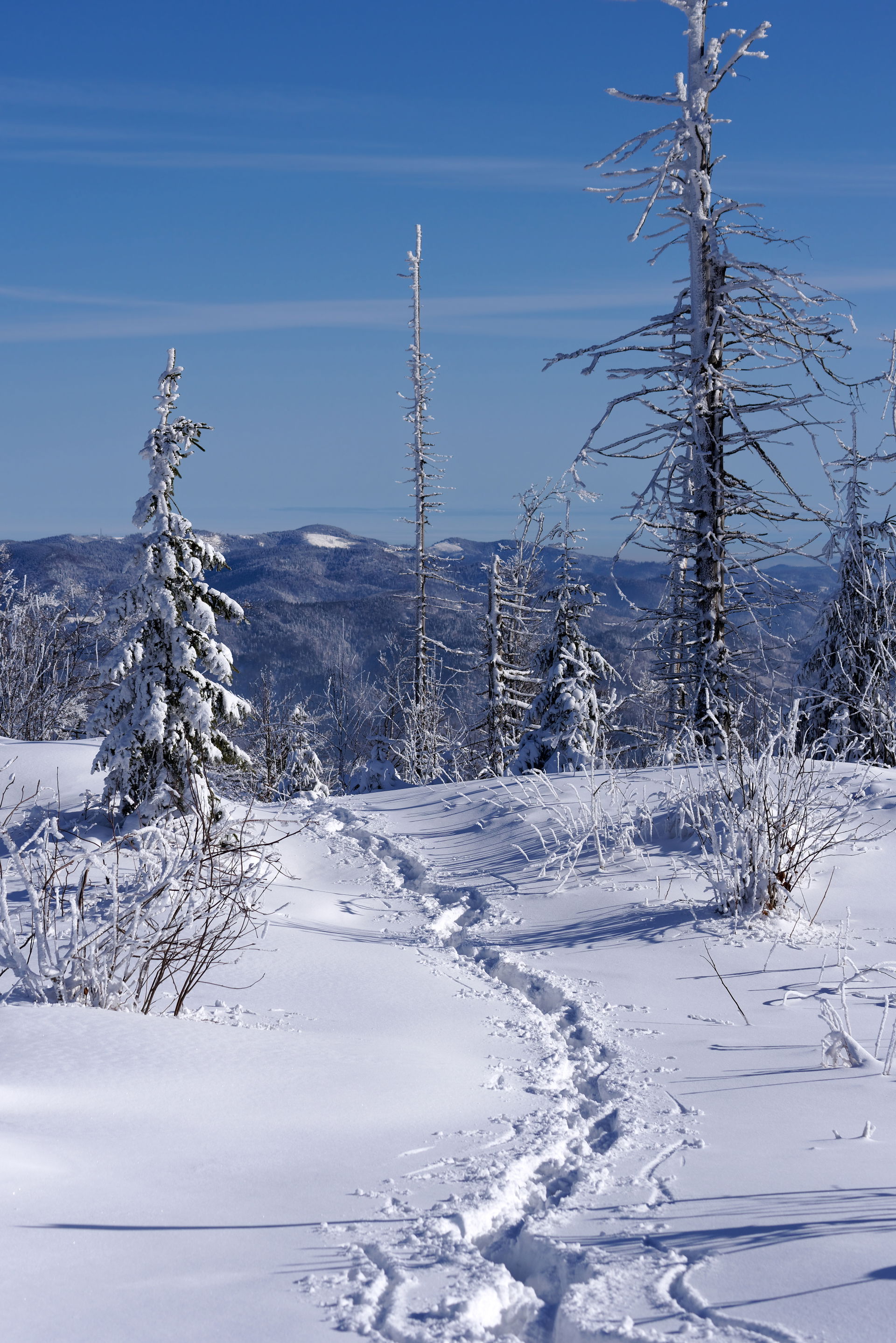 A trail from Lubań to Tylmanowa, Gorce mountains