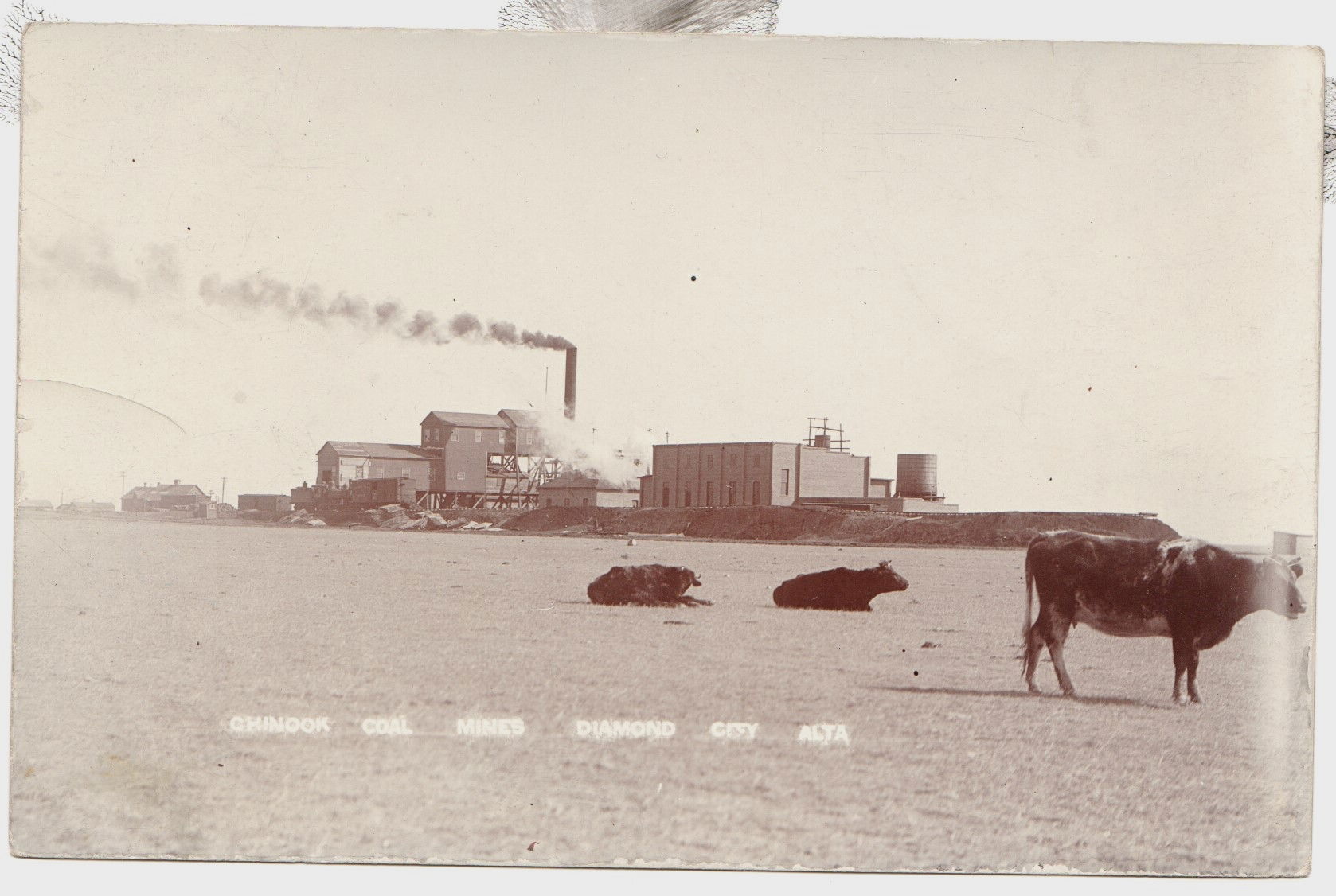 CHINOOK COAL MINE DIAMOND CITY ALBERTA