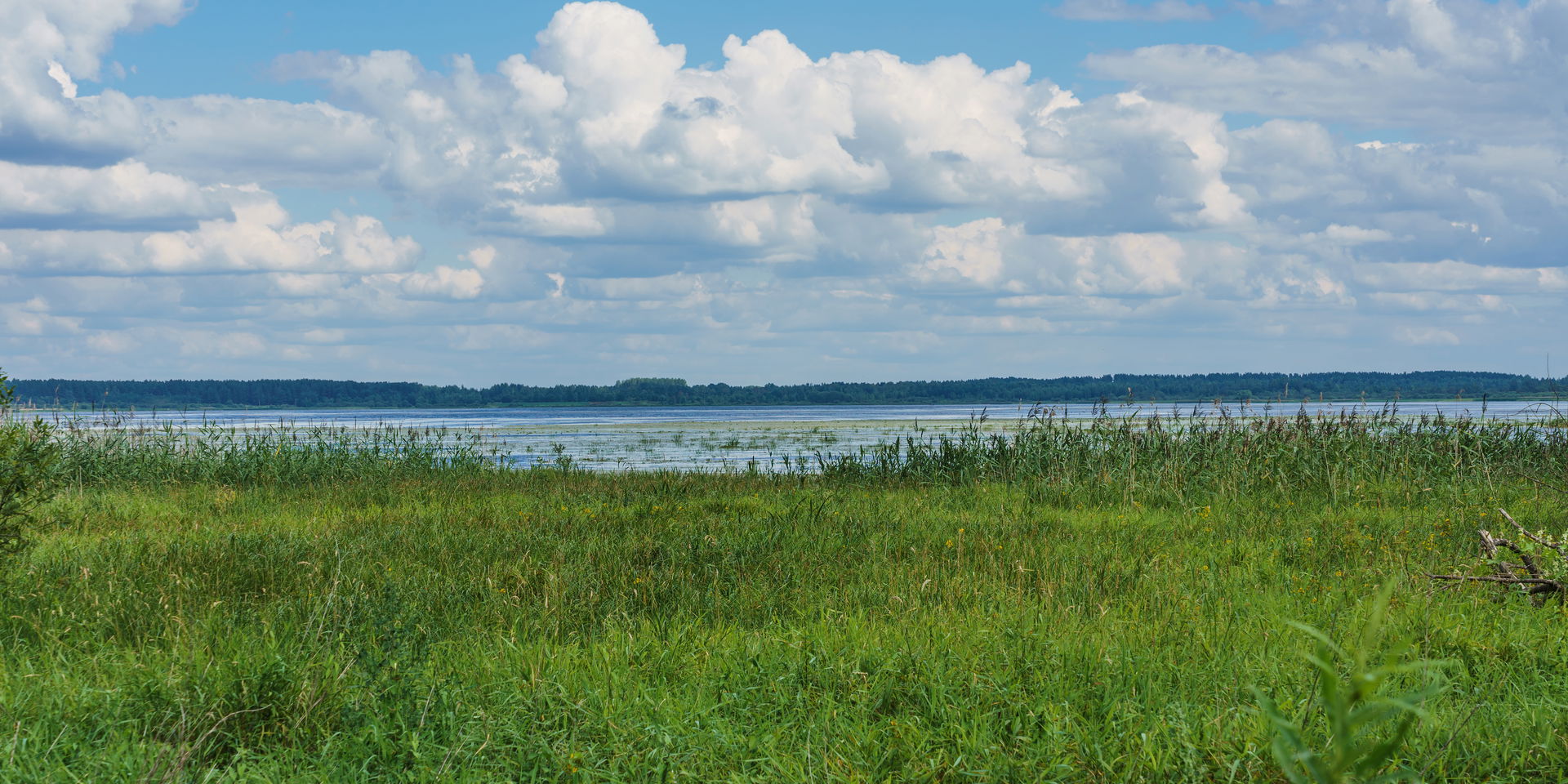 Lake Orsha at Novorzhev, Pskov Oblast, Russia.