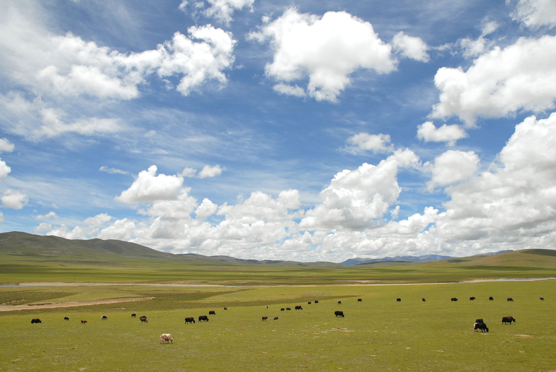 Nagqu County, Tibet