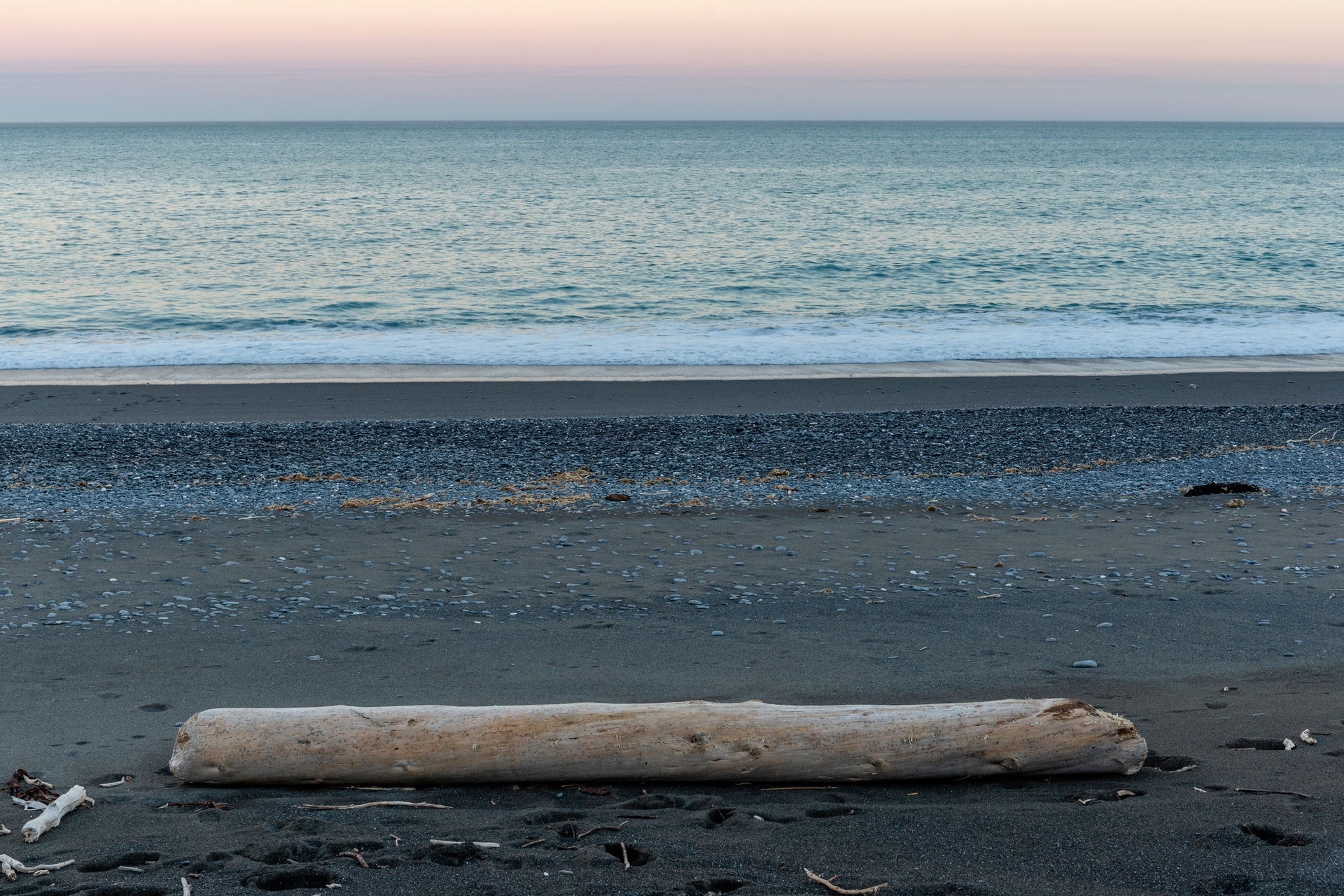 Driftwood on the beach north of Kaikoura, Canterbury, New Zeala…