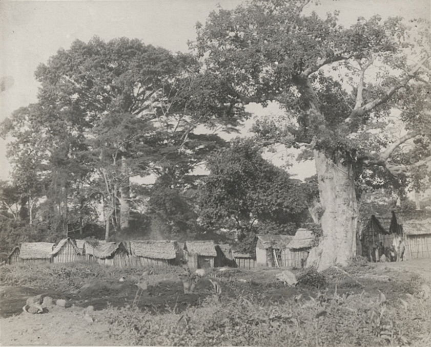View in village of Bechim, Ashanti.