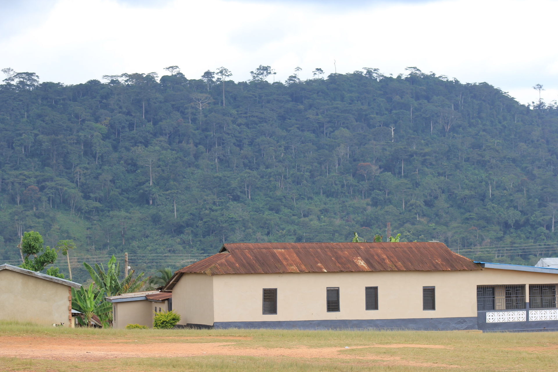 Begoro Forest view in the Fanteakwa District