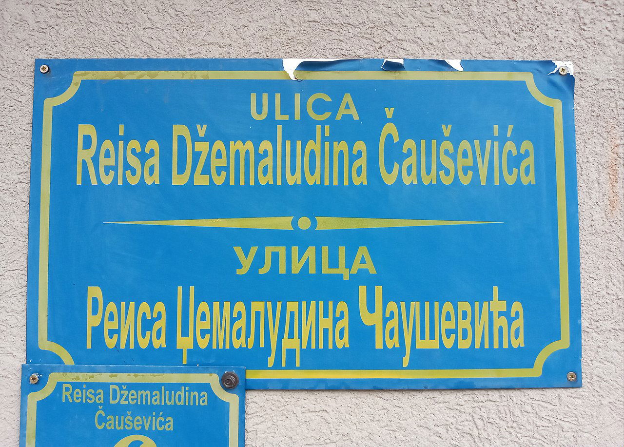 Ulica Reisa Džemaludina Čauševića u Brčkom