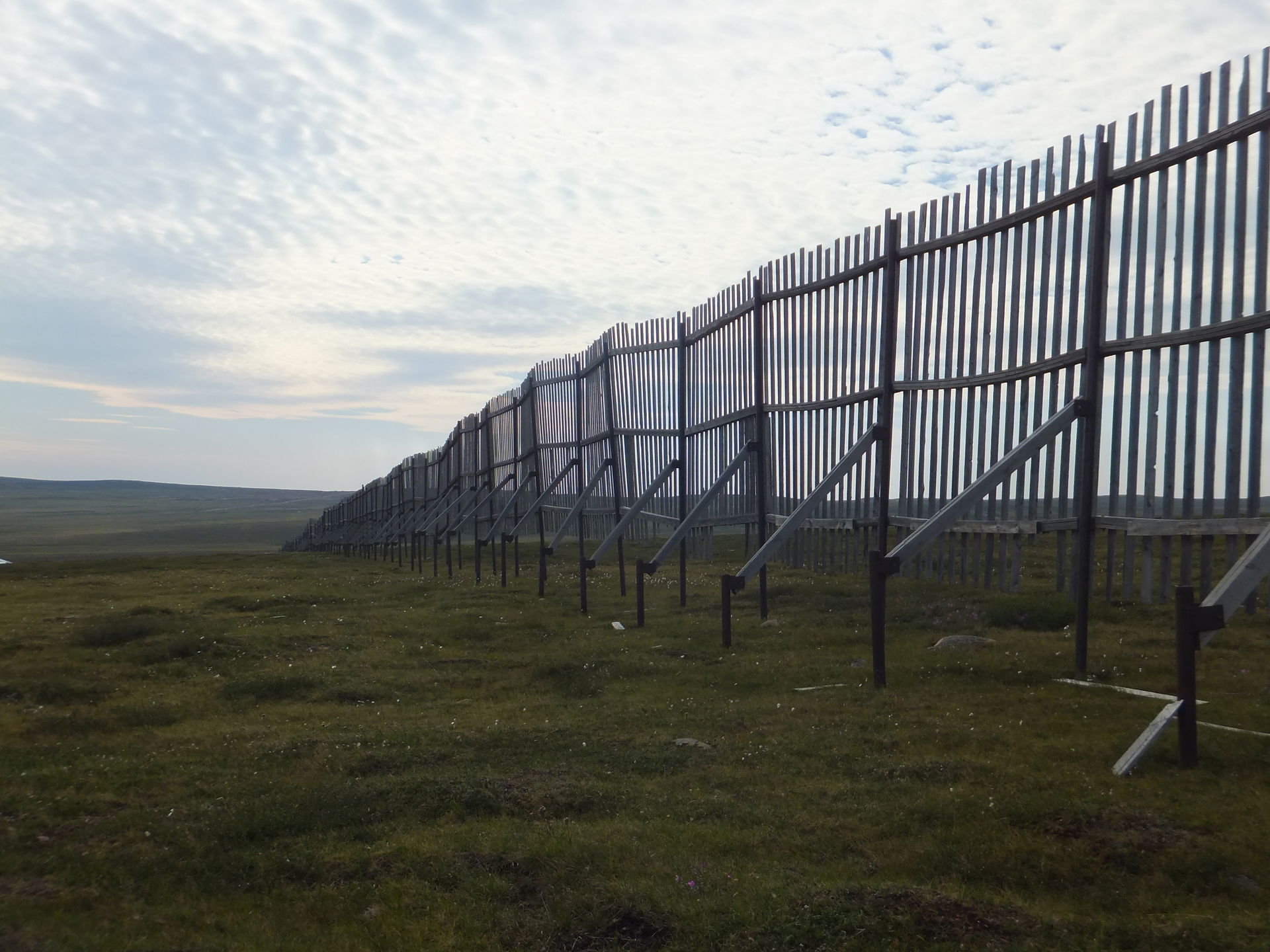 Snow fence