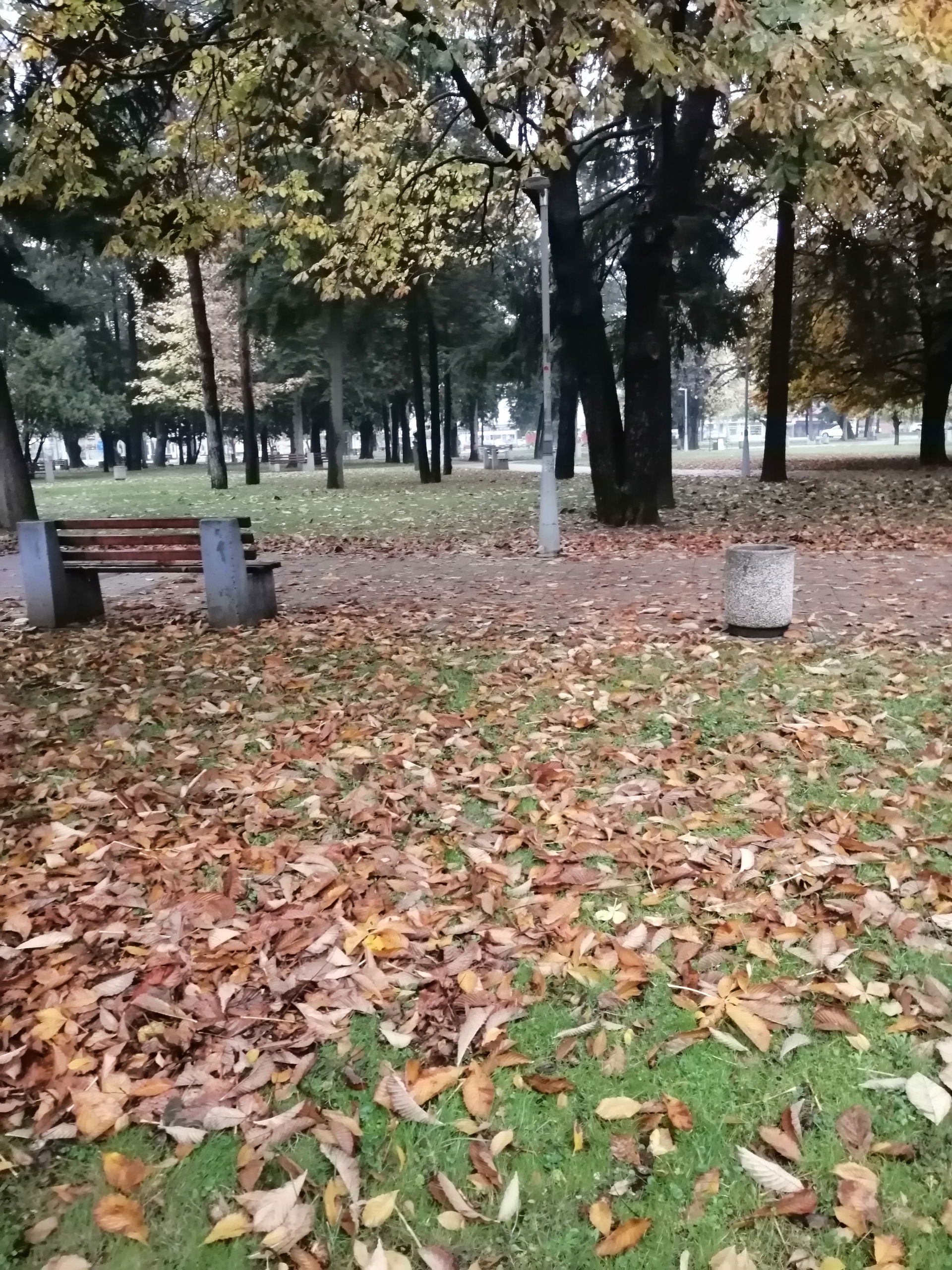 park u poznu jesen