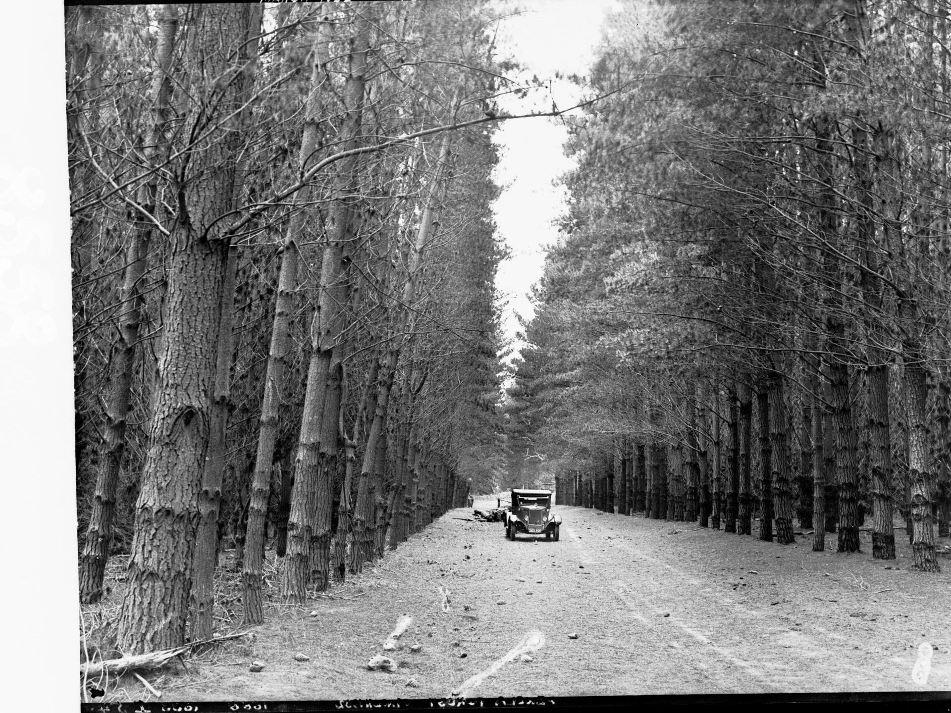 Showing automobile on road through